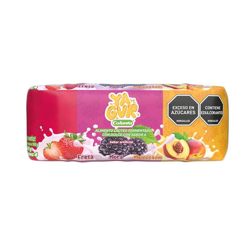 YAGUR COLANTA 4U 600G SURTIDO VASO